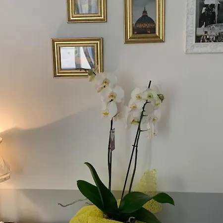 A Casa Di Clara