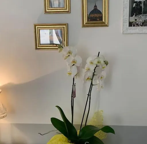 A Casa Di Clara